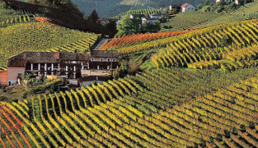 langhe