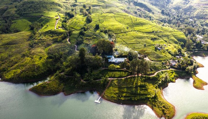 Ceylon Tea Trails