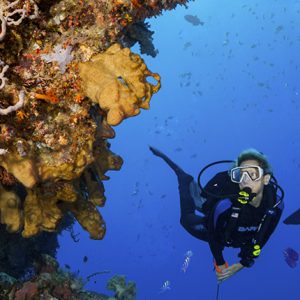 Wakatobi