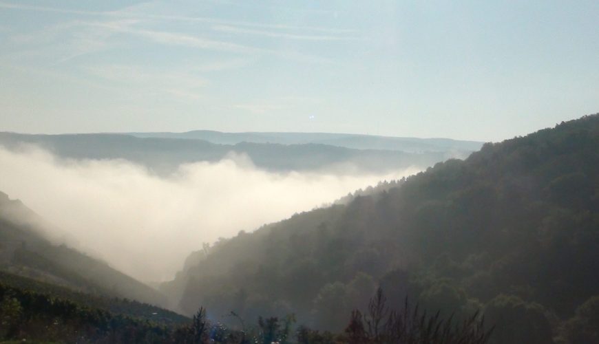 Waldbaden