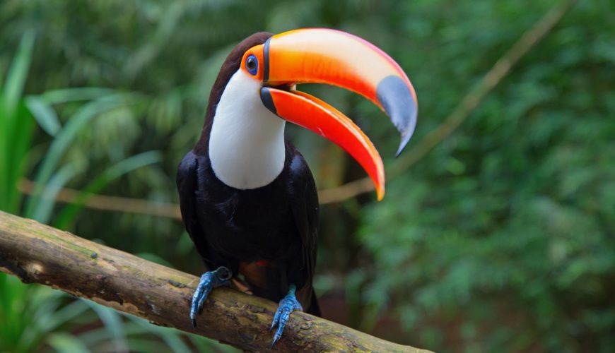 Costa Rica Rundreise