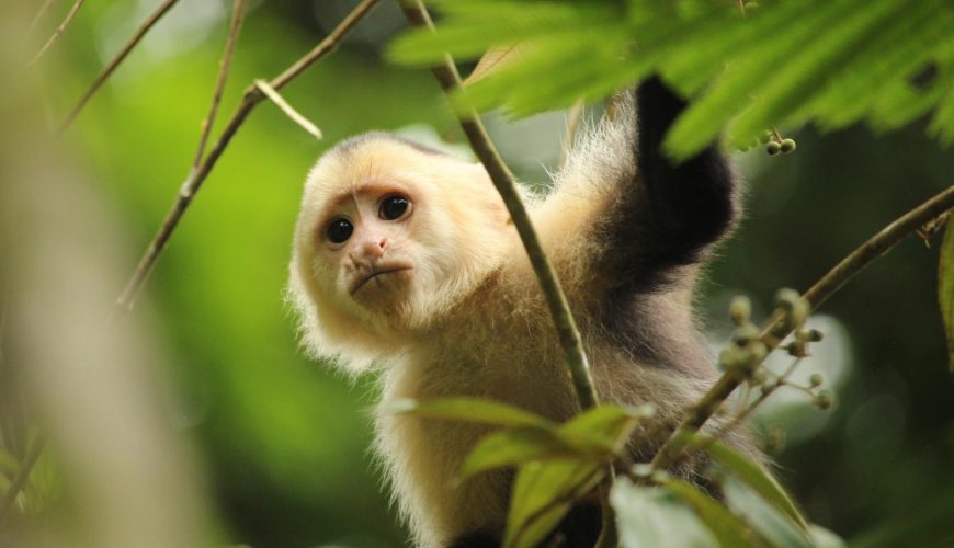 Costa Rica Rundreise