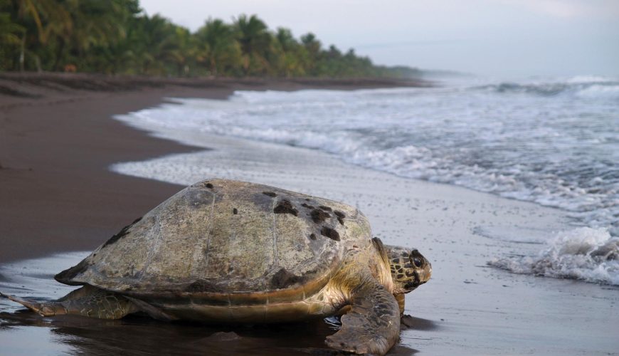 Costa Rica Rundreise