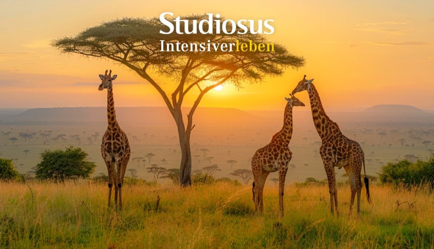Studiosus Südafrika