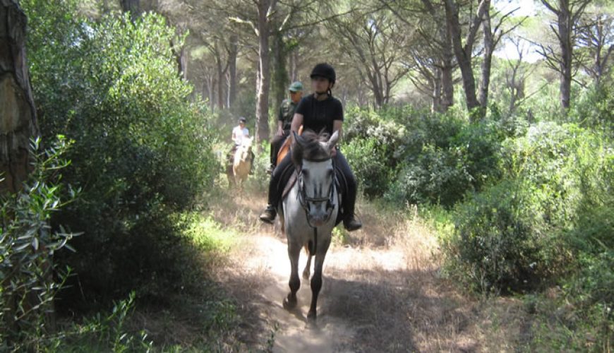 Horse Country Resort