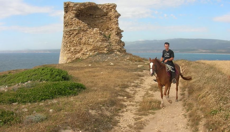 Horse Country Resort