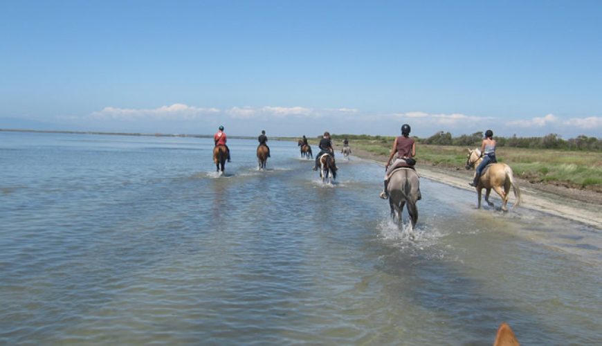 Horse Country Resort