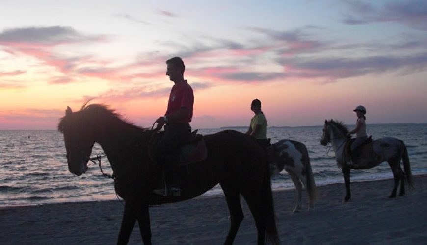 Reitsport