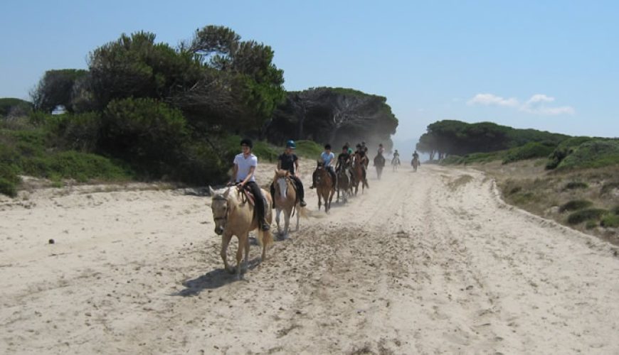 Reitsport