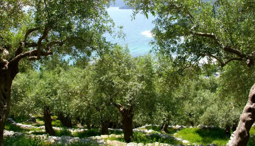 Wikinger Wanderreise Kreta